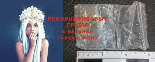 амф Козельск