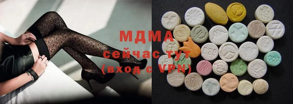 ГАЛЛЮЦИНОГЕННЫЕ ГРИБЫ Козловка