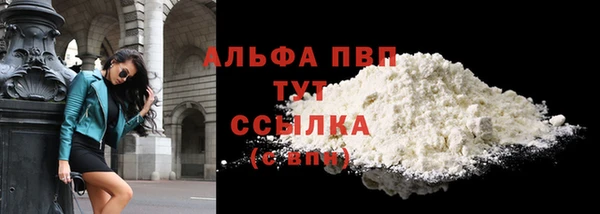 ГАЛЛЮЦИНОГЕННЫЕ ГРИБЫ Козловка