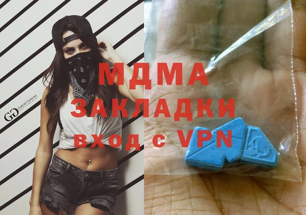 ГАЛЛЮЦИНОГЕННЫЕ ГРИБЫ Козловка