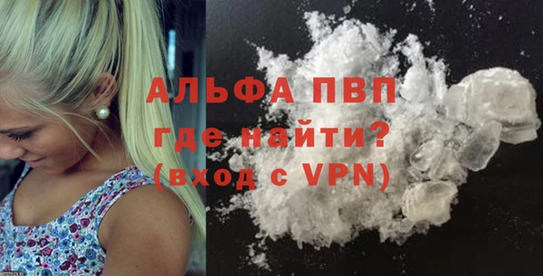ГАЛЛЮЦИНОГЕННЫЕ ГРИБЫ Козловка