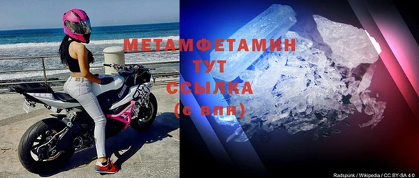 ГАЛЛЮЦИНОГЕННЫЕ ГРИБЫ Козловка
