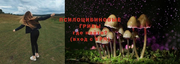 МДМА Кодинск