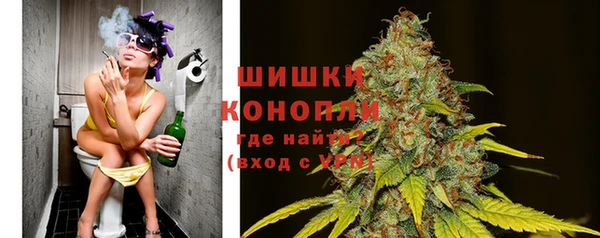 амф Козельск