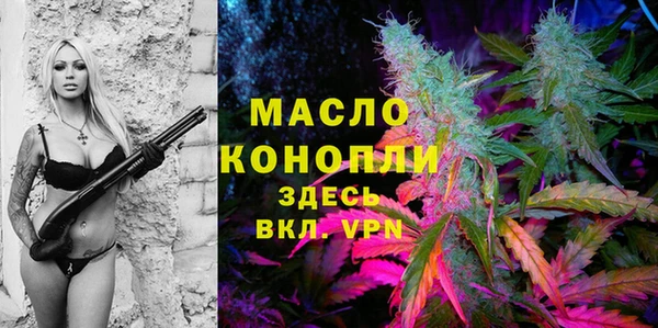 ГАЛЛЮЦИНОГЕННЫЕ ГРИБЫ Козловка