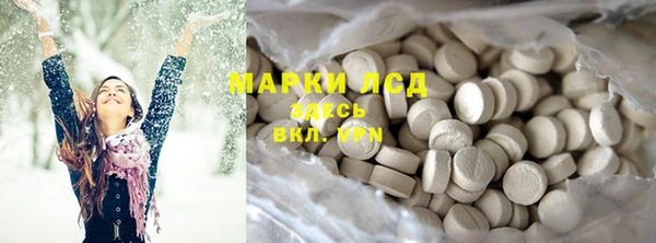 ГАЛЛЮЦИНОГЕННЫЕ ГРИБЫ Козловка